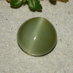 Actinolite œil de chat Vert jaunâtre naturelle Coupe roude, 3.87 ct, Translucide