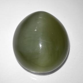 Actinolite cat's eye vert naturelle coupe ovale, 9,44 ct, translucide