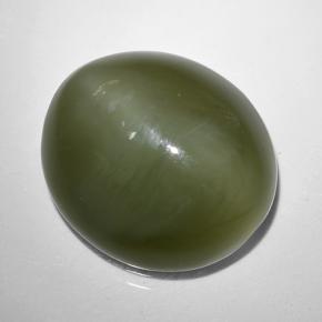 Actinolite cat's eye vert naturelle coupe ovale, 9,44 ct, translucide