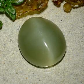 Actinolite cat's eye vert naturelle coupe ovale, 9,08 ct, translucide
