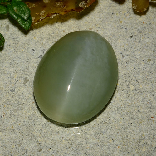 Actinolite cat's eye vert naturelle coupe ovale, 4,86 ct, translucide
