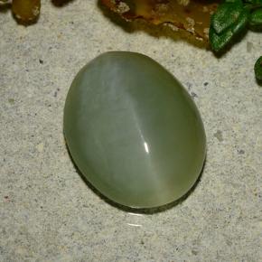 Actinolite cat's eye vert naturelle coupe ovale, 4,86 ct, translucide