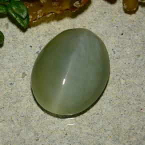 Actinolite cat's eye vert naturelle coupe ovale, 4,86 ct, translucide