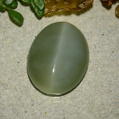 6.48ct Naturel Vert moyen Actinolite œil de chat, ovale, Translucide