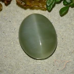 Actinolite œil de chat Vert moyen naturelle ovale, 6.48 ct, Translucide