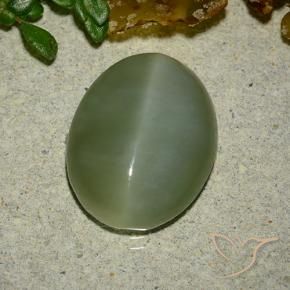Actinolite œil de chat Vert moyen naturelle ovale, 6.48 ct, Translucide
