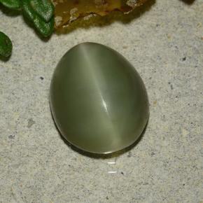 Actinolite cat's eye vert naturelle coupe ovale, 3,59 ct, translucide