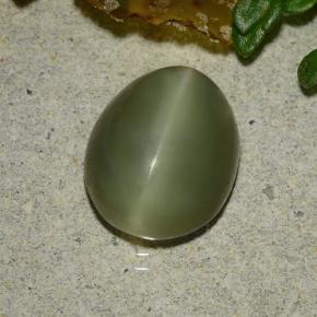 Actinolite cat's eye vert naturelle coupe ovale, 3,59 ct, translucide