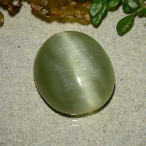 Actinolite œil de chat Vert jaunâtre naturelle Coupe ovale, 8.75 ct, Translucide