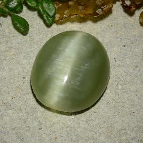 Actinolite œil de chat Vert jaunâtre naturelle Coupe ovale, 8.75 ct, Translucide