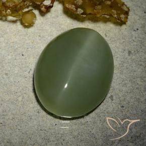 Actinolite œil de chat Vert militaire naturelle ovale, 7.01 ct, Translucide