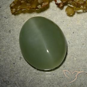 Actinolite œil de chat Vert militaire naturelle ovale, 7.01 ct, Translucide