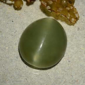 Actinolite cat's eye vert naturelle coupe ovale, 5,70 ct, translucide
