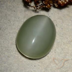 Actinolite œil de chat Vert moyen naturelle ovale, 10.66 ct, Translucide