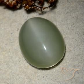 Actinolite œil de chat Vert moyen naturelle ovale, 10.66 ct, Translucide