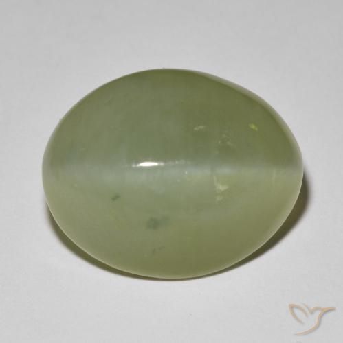 11.42ct Naturel Vert grisâtre Actinolite œil de chat, ovale, Translucide