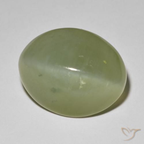 Actinolite œil de chat Vert grisâtre naturelle ovale, 11.42 ct, Translucide