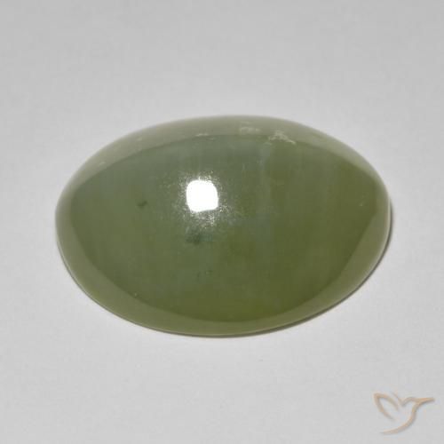 Actinolite œil de chat Vert grisâtre naturelle ovale, 11.42 ct, Translucide