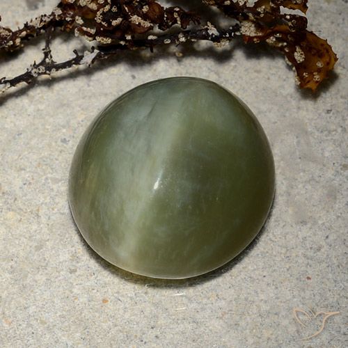 8.89ct Naturel Vert foncé Actinolite œil de chat, ovale, Translucide