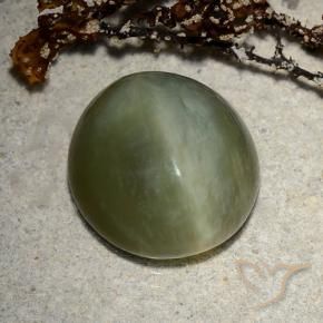 Actinolite œil de chat Vert foncé naturelle ovale, 8.89 ct, Translucide