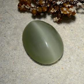 Actinolite cat's eye vert naturelle coupe ovale, 4,81 ct, translucide
