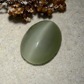 Actinolite cat's eye vert naturelle coupe ovale, 4,81 ct, translucide
