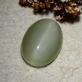 Actinolite œil de chat Vert Doré naturelle ovale, 5.19 ct, Translucide