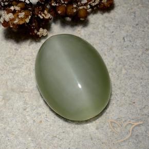 Actinolite œil de chat Vert Doré naturelle ovale, 5.19 ct, Translucide