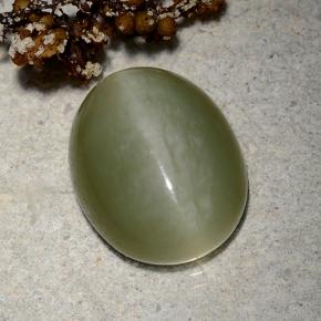 Actinolite cat's eye vert naturelle coupe ovale, 9,06 ct, translucide