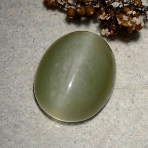 Actinolite cat's eye vert naturelle coupe ovale, 9,06 ct, translucide