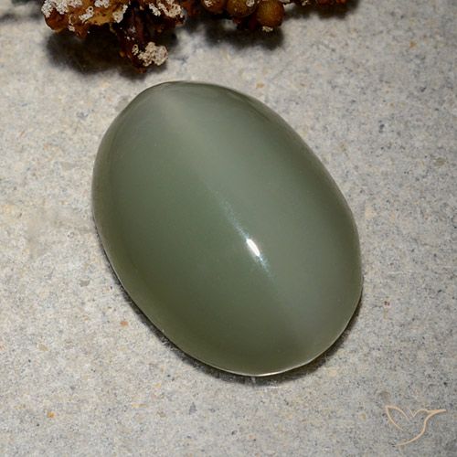 8.62ct Naturel Vert moyen Actinolite œil de chat, ovale, Translucide