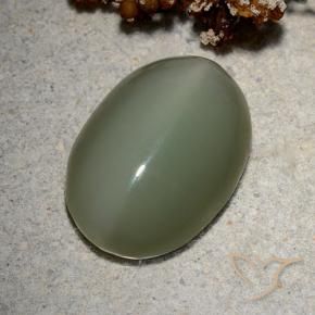 Actinolite œil de chat Vert moyen naturelle ovale, 8.62 ct, Translucide