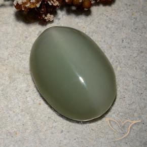 Actinolite œil de chat Vert moyen naturelle ovale, 8.62 ct, Translucide