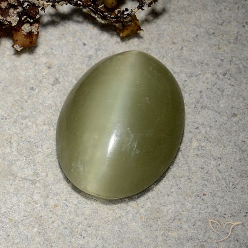 Actinolite cat's eye vert naturelle coupe ovale, 5,10 ct, translucide
