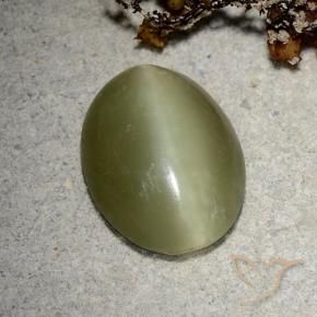 Actinolite cat's eye vert naturelle coupe ovale, 5,10 ct, translucide
