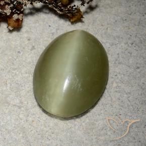 Actinolite cat's eye vert naturelle coupe ovale, 5,10 ct, translucide