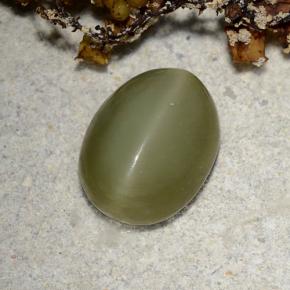 Actinolite cat's eye vert naturelle coupe ovale, 2,78 ct, translucide