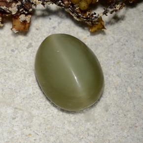 Actinolite cat's eye vert naturelle coupe ovale, 2,78 ct, translucide