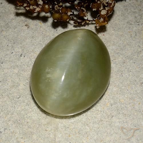 10.95ct Naturel Vert terreux Actinolite œil de chat, ovale, Translucide