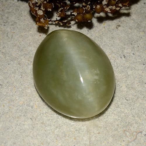 Actinolite œil de chat Vert terreux naturelle ovale, 10.95 ct, Translucide