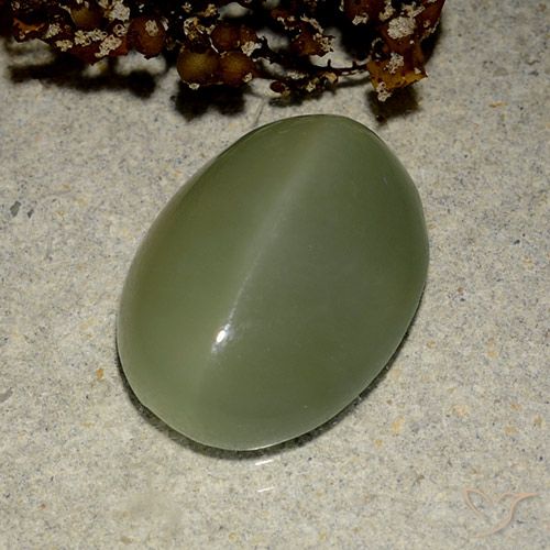 6.03ct Naturel Vert militaire Actinolite œil de chat, ovale, Translucide
