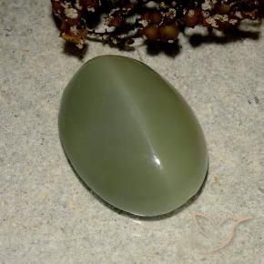 Actinolite œil de chat Vert militaire naturelle ovale, 6.03 ct, Translucide