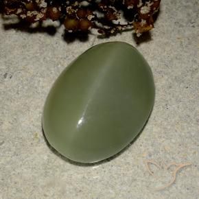 Actinolite œil de chat Vert militaire naturelle ovale, 6.03 ct, Translucide
