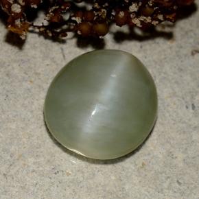 Actinolite œil de chat Vert naturelle Coupe ovale, 4.15 ct, Translucide