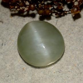 Actinolite œil de chat Vert naturelle Coupe ovale, 4.15 ct, Translucide
