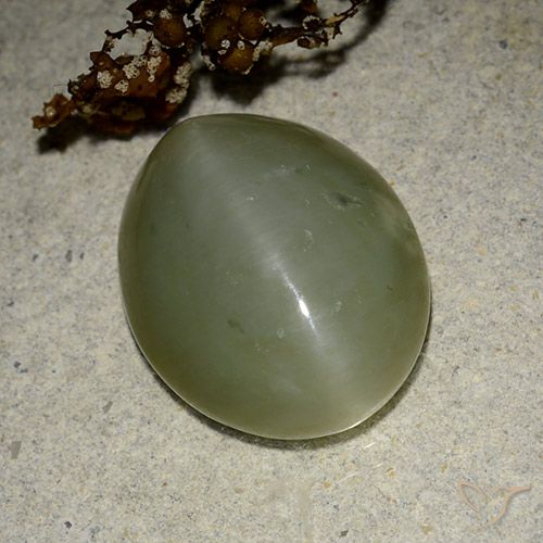 11.07ct Naturel Vert moyen Actinolite œil de chat, ovale, Translucide