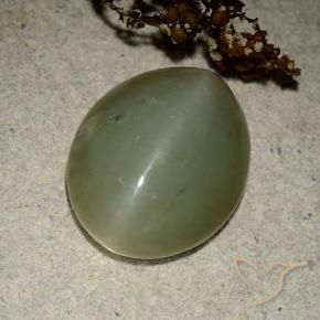 Actinolite œil de chat Vert moyen naturelle ovale, 11.07 ct, Translucide