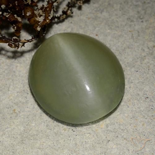 5.41ct Naturel Vert moyen Actinolite œil de chat, ovale, Translucide