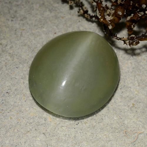 Actinolite œil de chat Vert moyen naturelle ovale, 5.41 ct, Translucide