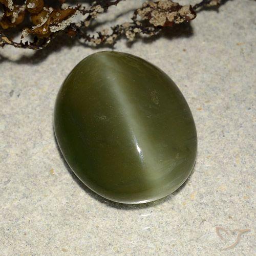 5.83ct Naturel Vert foncé Actinolite œil de chat, ovale, Translucide